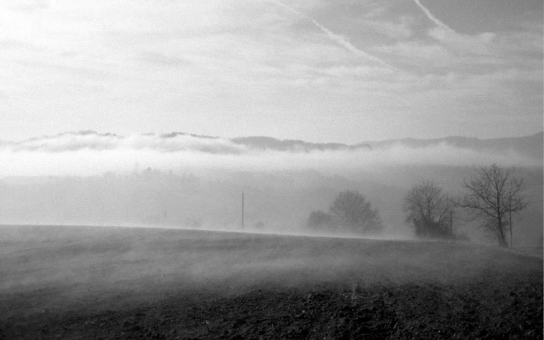 img014def-brume