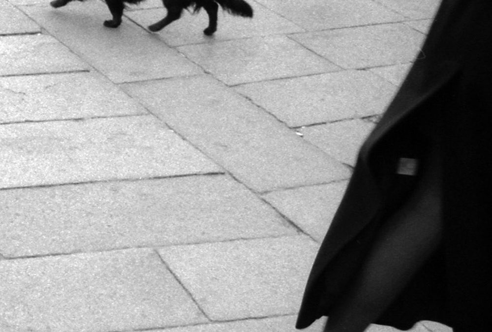 img136chienvenise