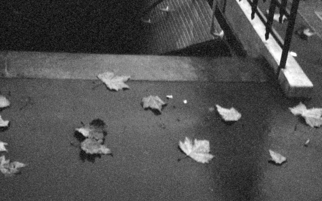 img140feuilles