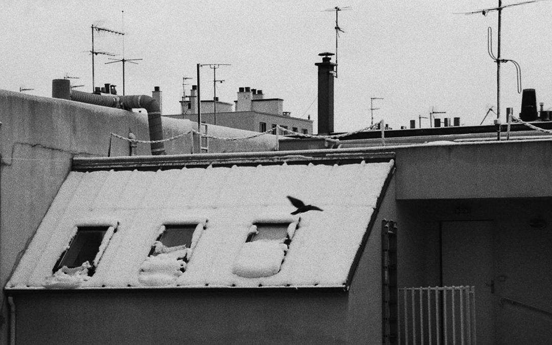 img229neige