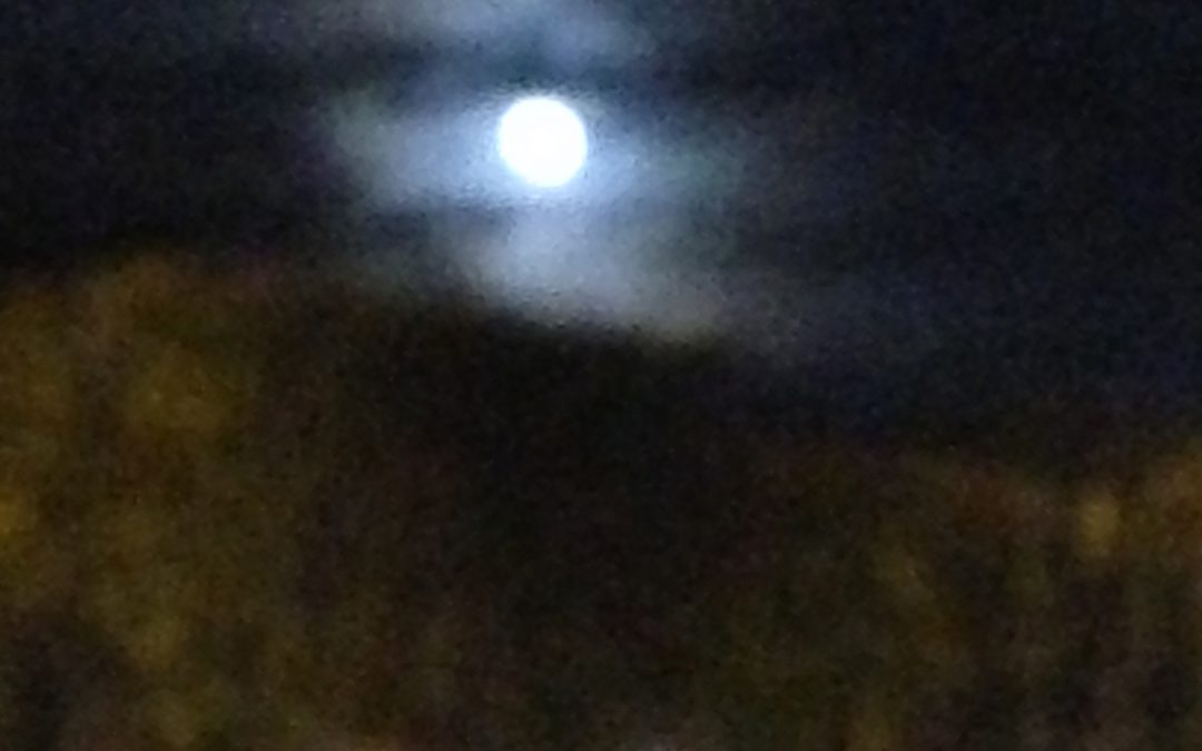 Clair de Lune à Lille