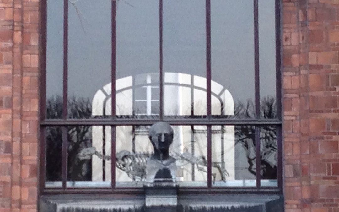 Jardin des plantes