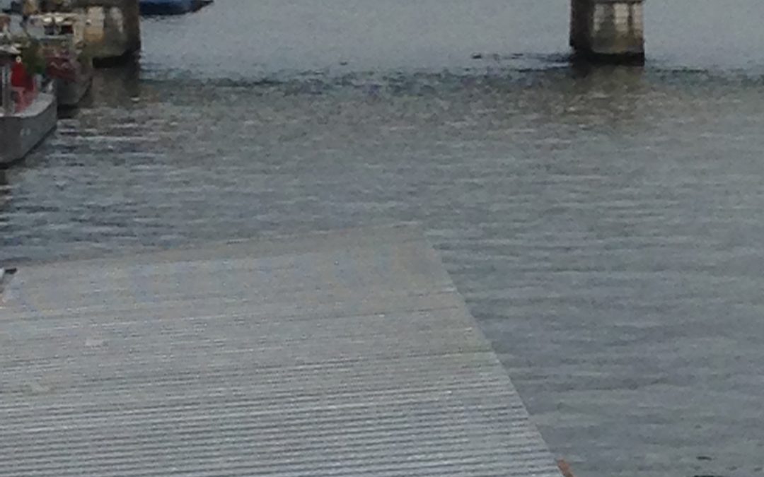 Pont Charles de Gaulle
