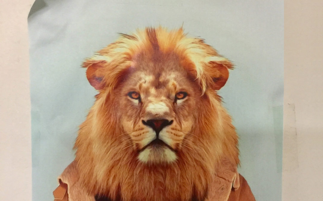 Lion
